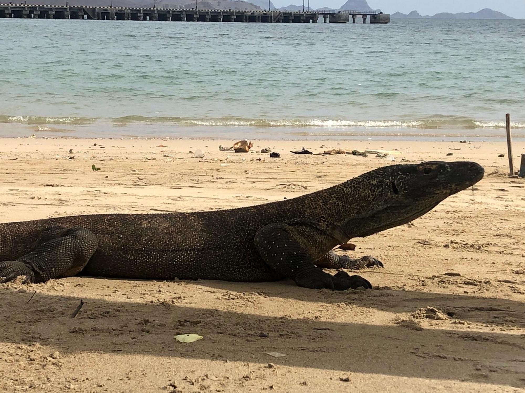 Dua Putri Komodo Homestay 外观 照片