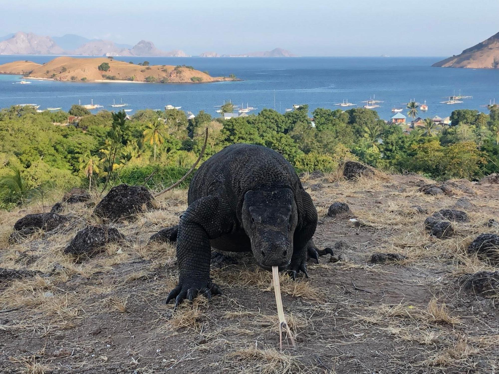 Dua Putri Komodo Homestay 外观 照片