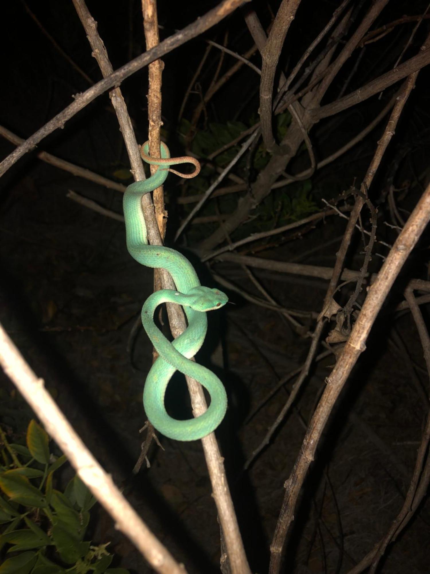 Dua Putri Komodo Homestay 外观 照片